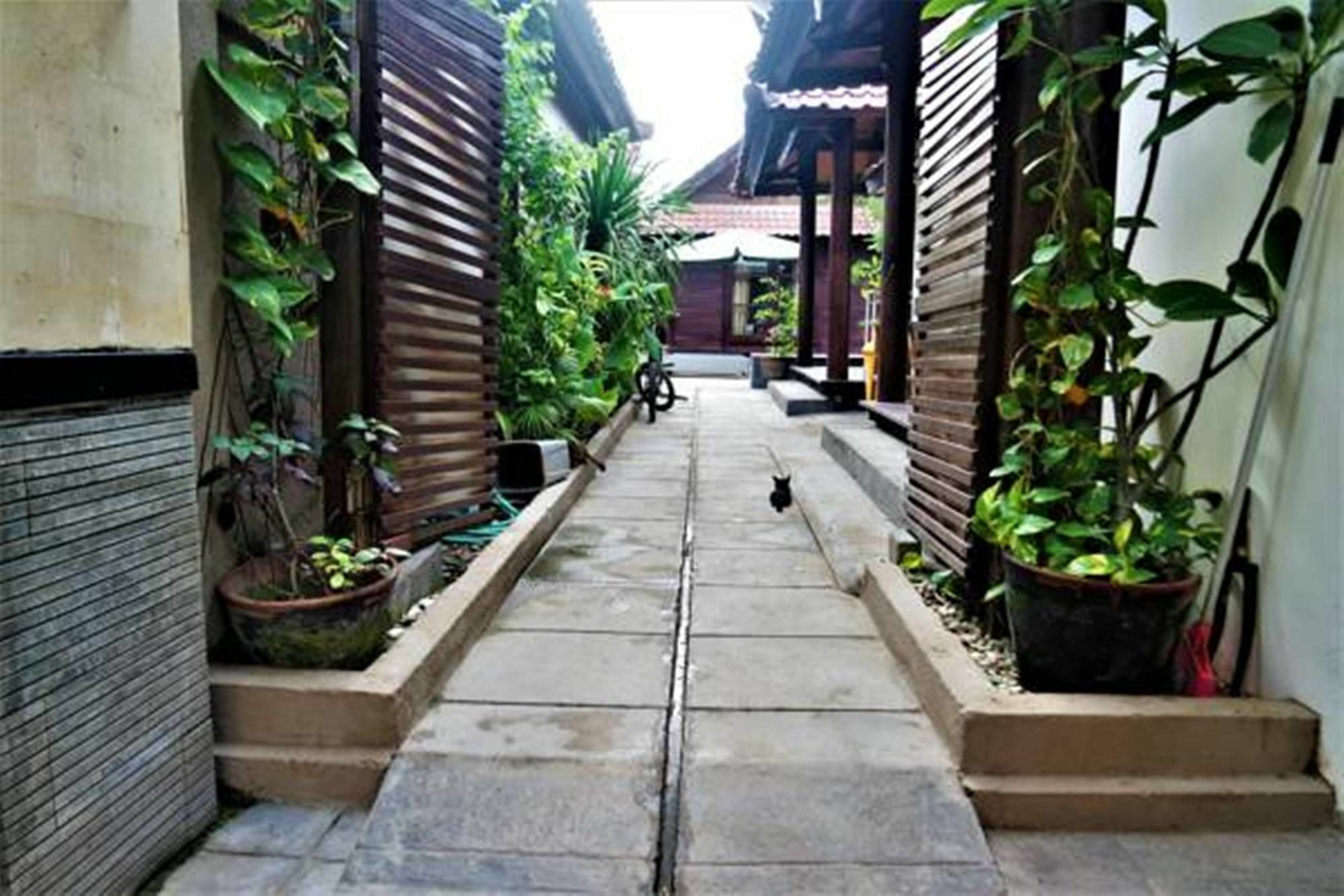 Drupadi Bungalows Quần đảo Gili Ngoại thất bức ảnh
